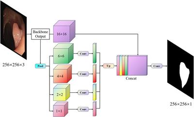 MBFFNet: Multi-Branch Feature Fusion Network for Colonoscopy